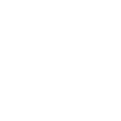Developer Icon