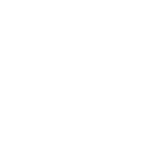 Developer Icon